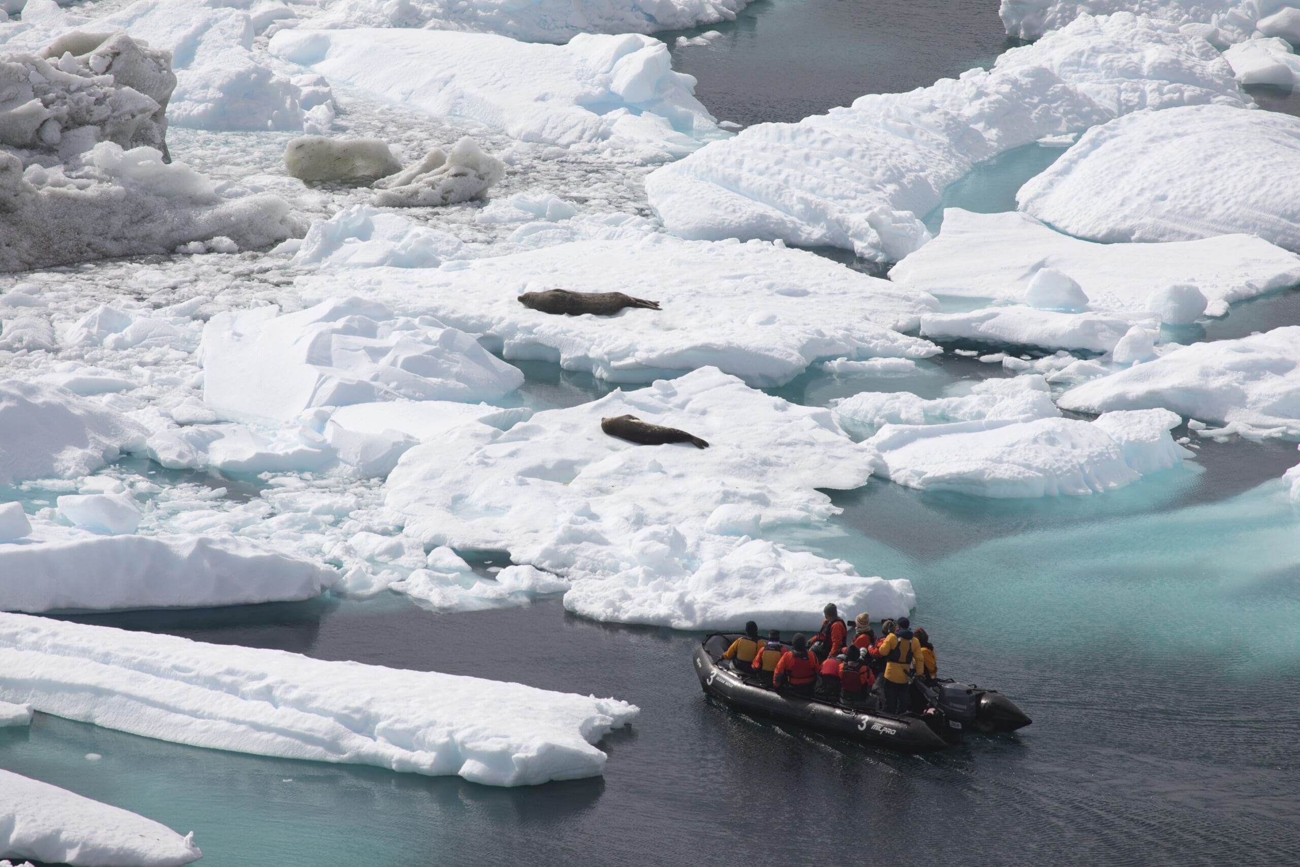 5D4_9534 Antarctica cruise by IBG Travel